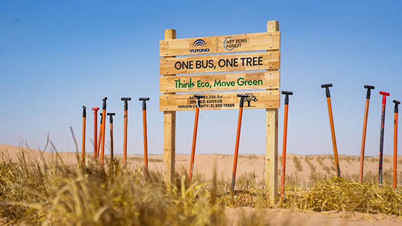 ONE BUS, ONE TREE