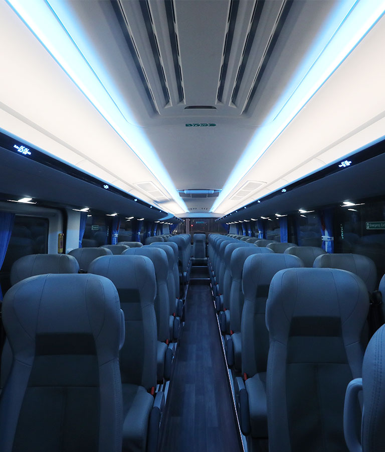 Interior Color